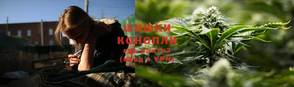 ПСИЛОЦИБИНОВЫЕ ГРИБЫ Алзамай