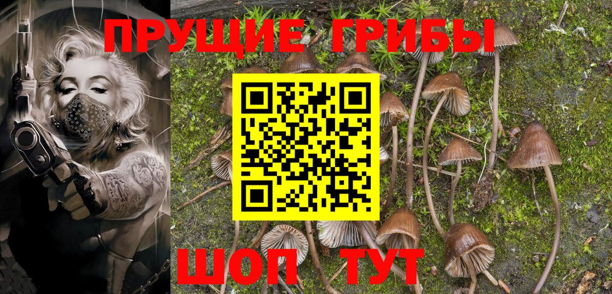 Ростов-на-Дону  Псилоцибиновые грибы GOLDEN TEACHER  Вход с VPN 