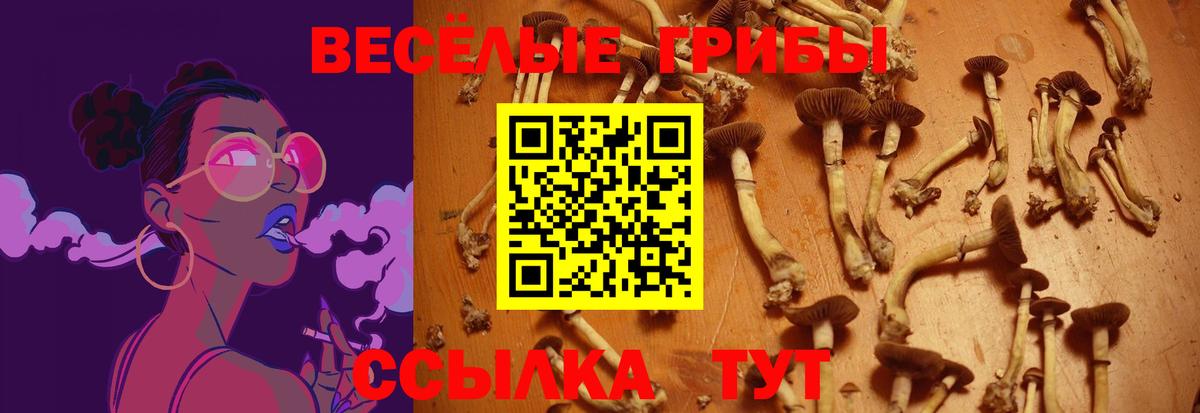 Псилоцибиновые грибы Magic Shrooms Ростов-на-Дону